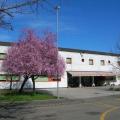 Fioritura primaverile alla Casa protetta