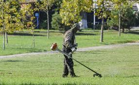 Verde pubblico, calendario degli sfalci 2025 foto 