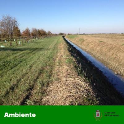 Manutenzione fossi di scolo anno 2021 foto 