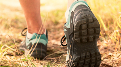 Walking Leader, un corso di formazione a Castelfranco E. foto 